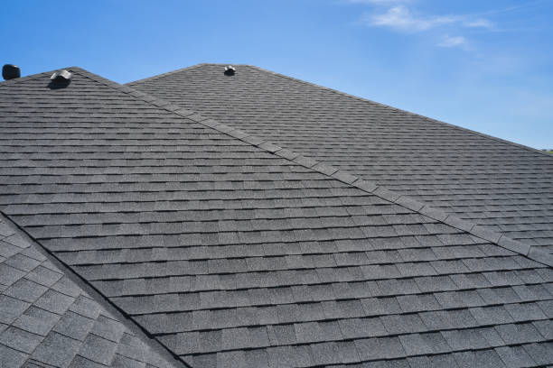 Best Roof Ventilation Installation  in Christiana, TN